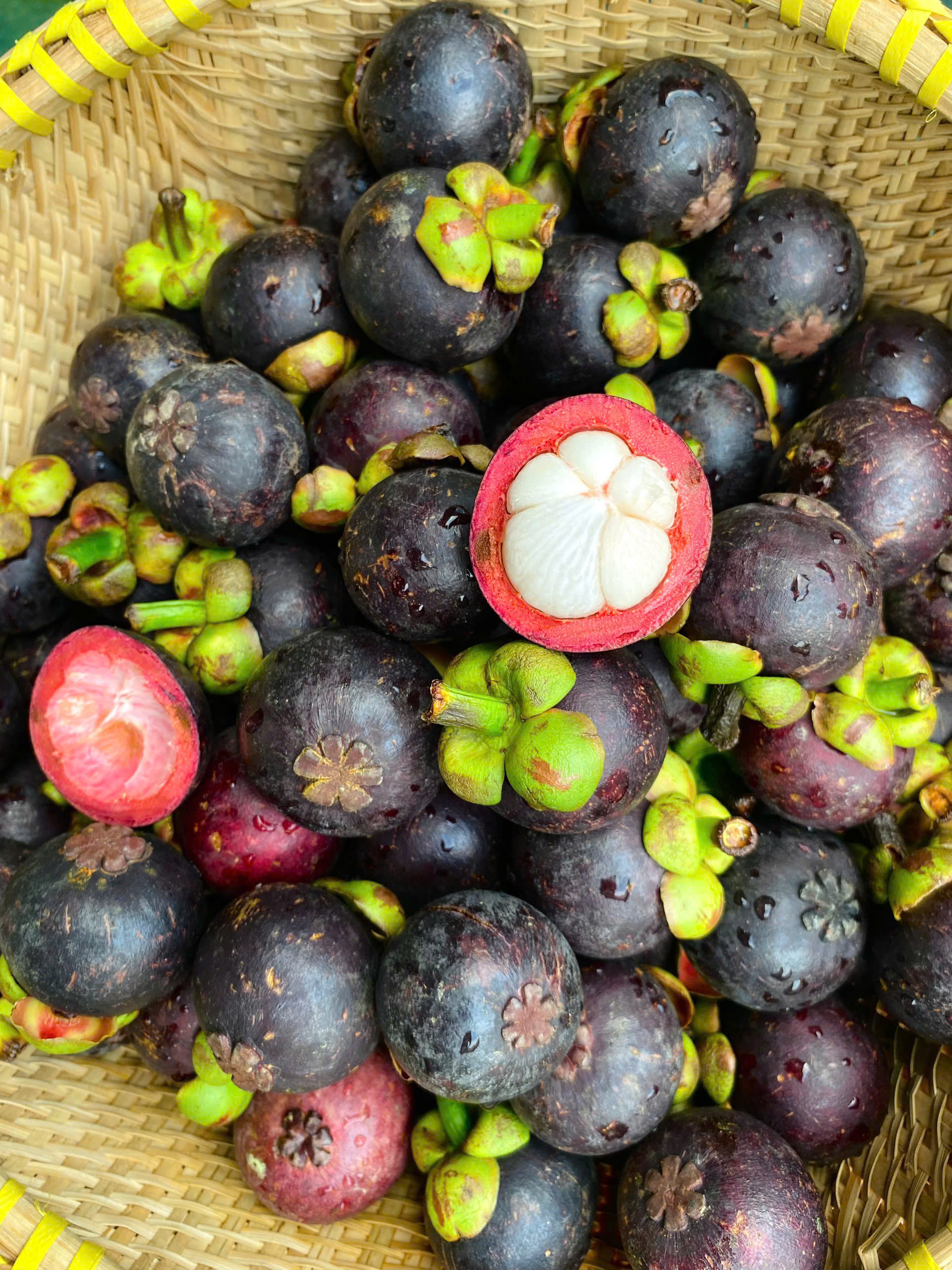Măng Cụt Thái