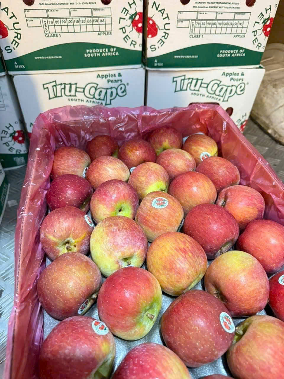 Táo TruCape Nam Phi