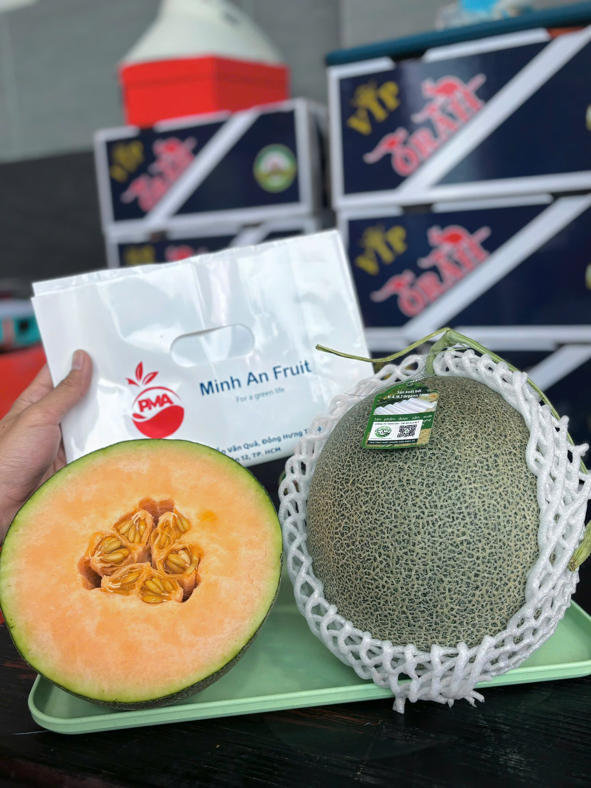 Dưa Lưới Mật Việt Nam