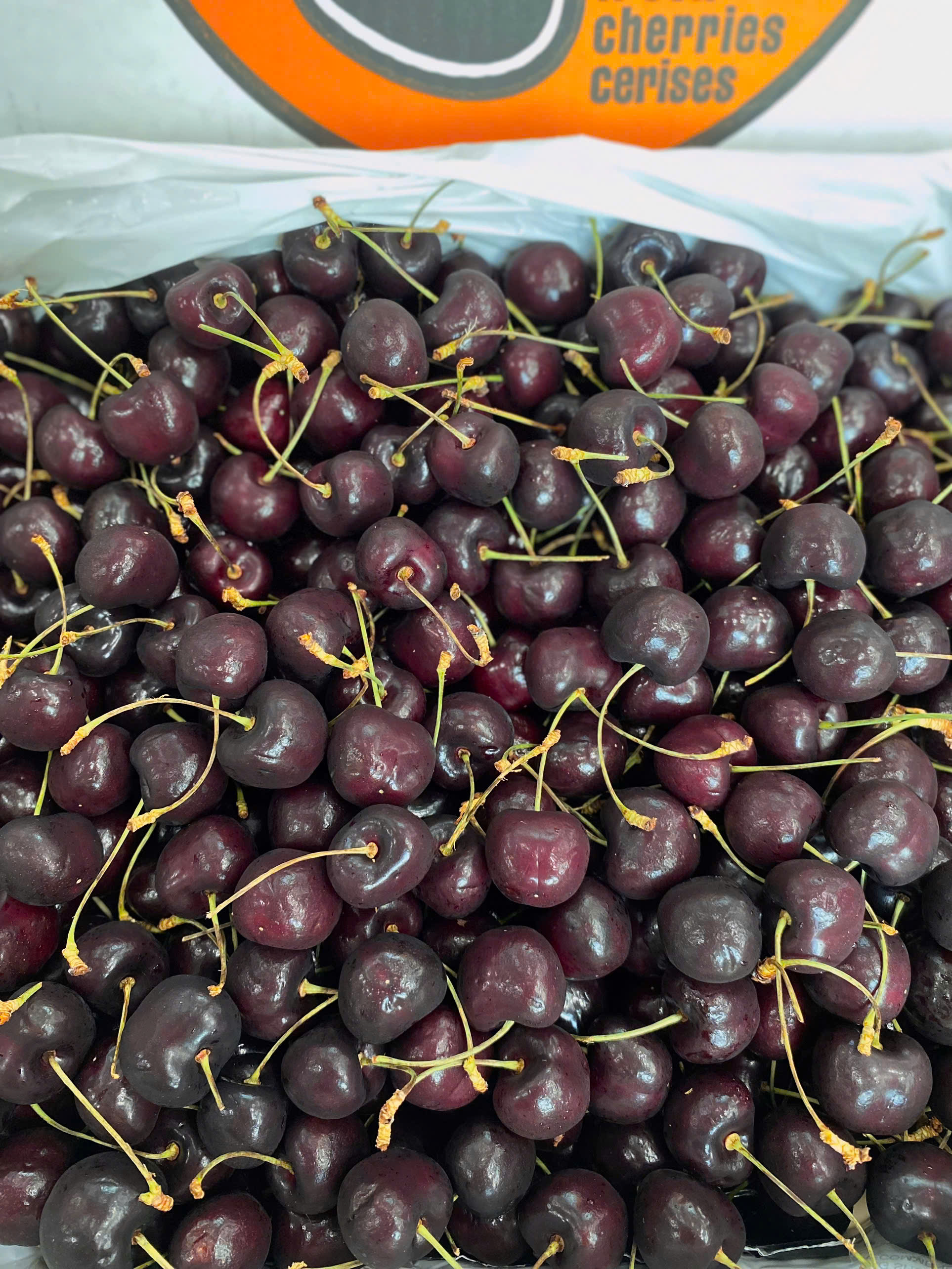 Cherry Mỹ