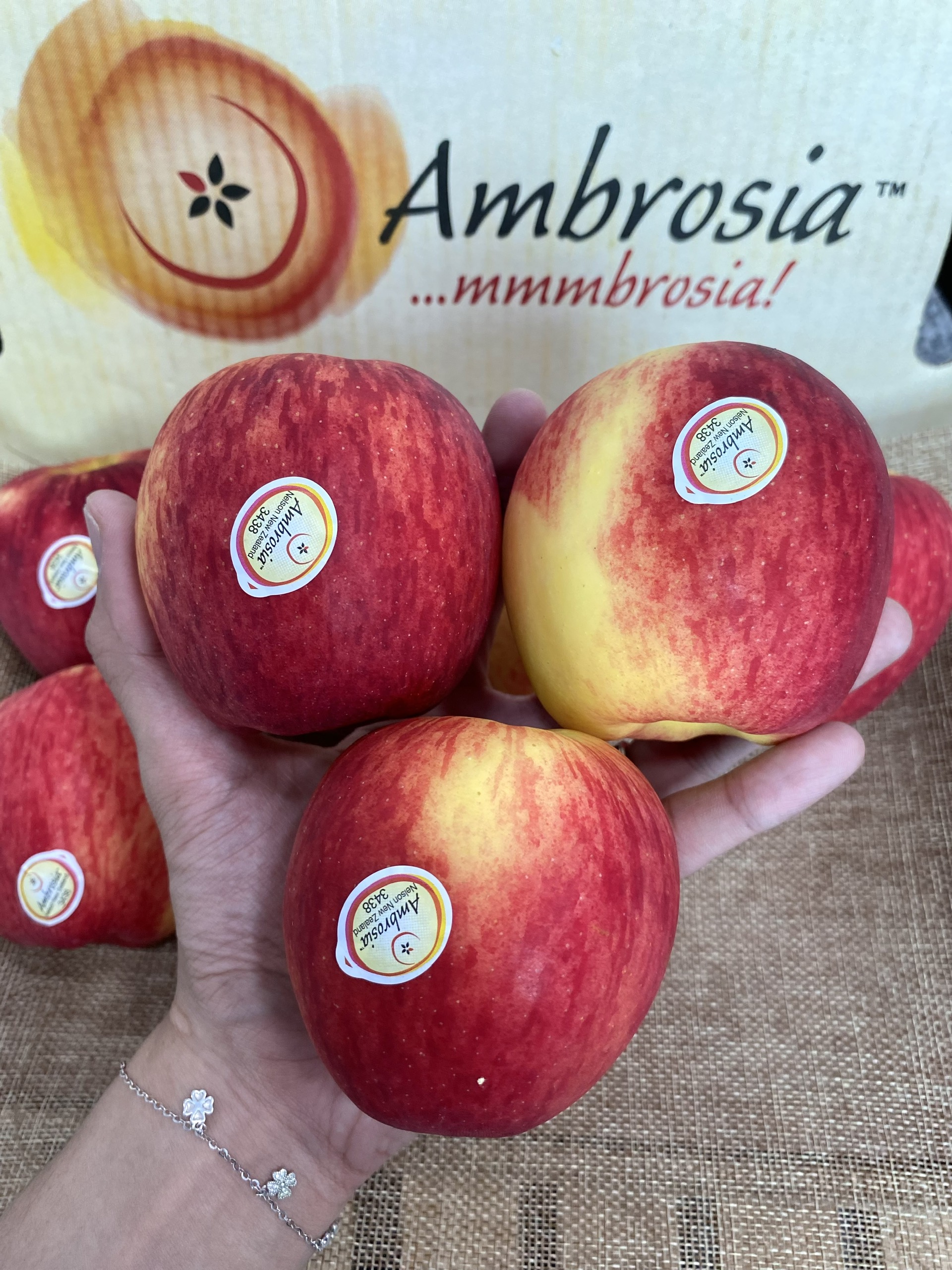 Táo Ambrosia New Zealand