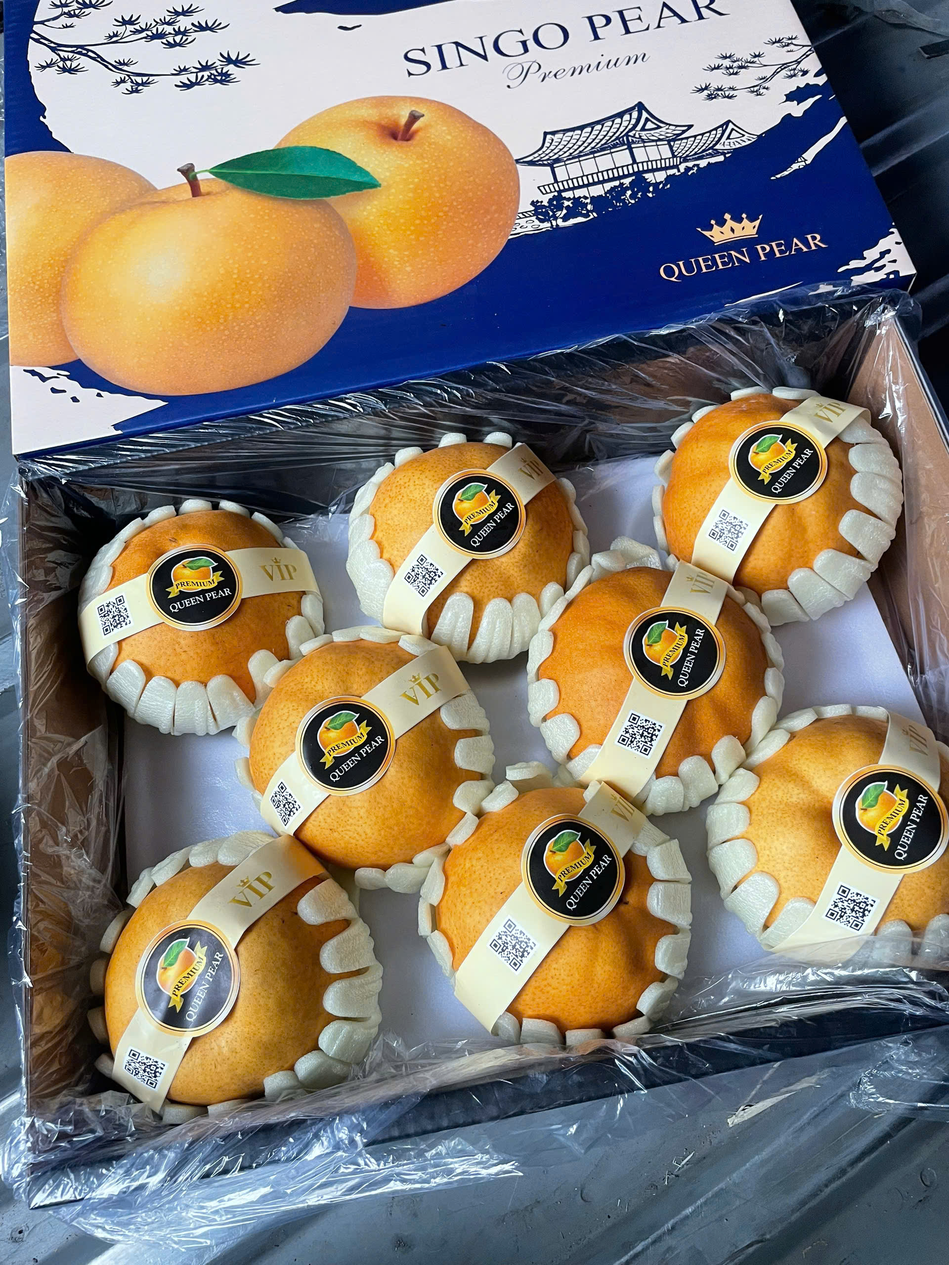 Lê Nâu