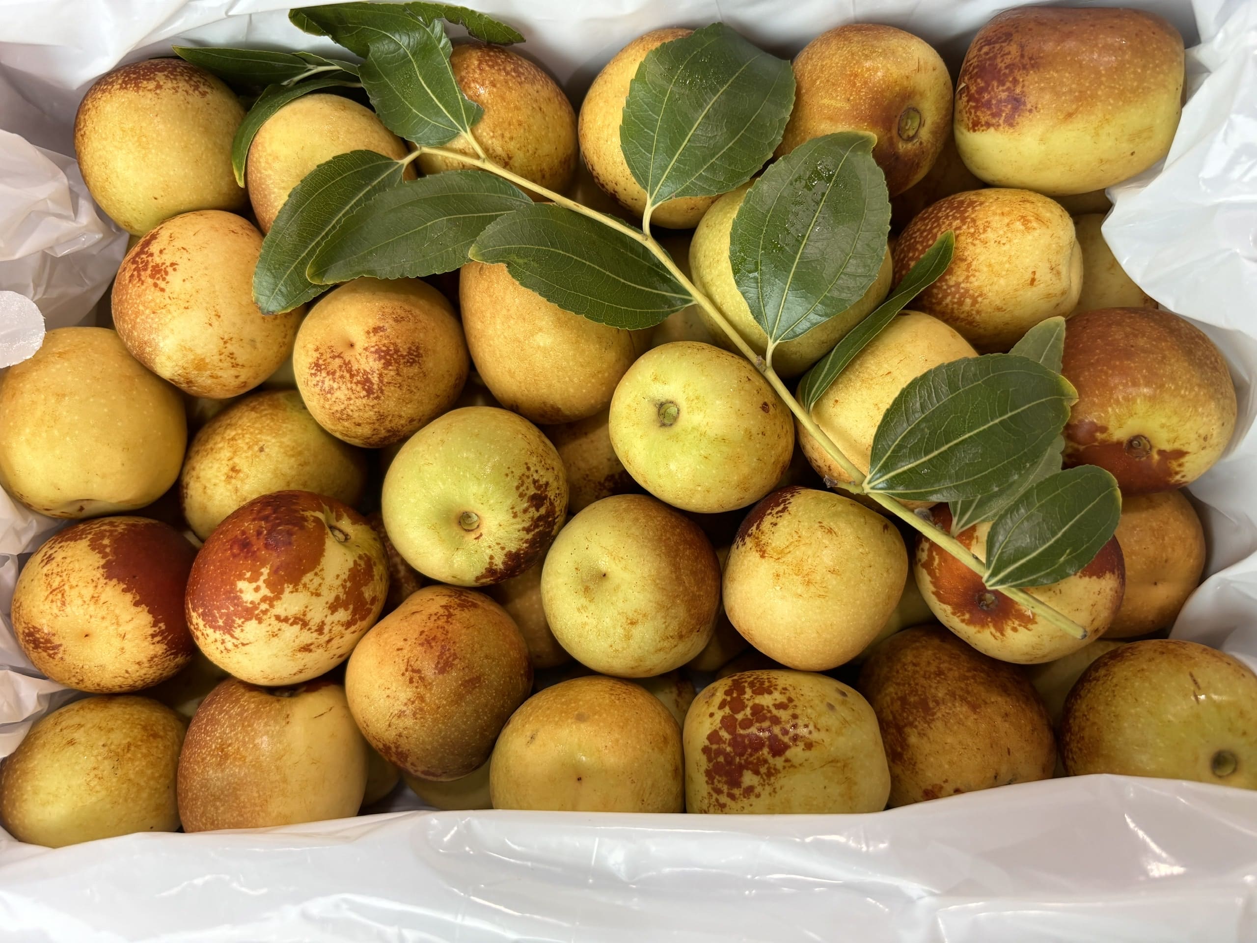 Hồng Táo thùng xốp tem đỏ (Thùng 1.4kg)