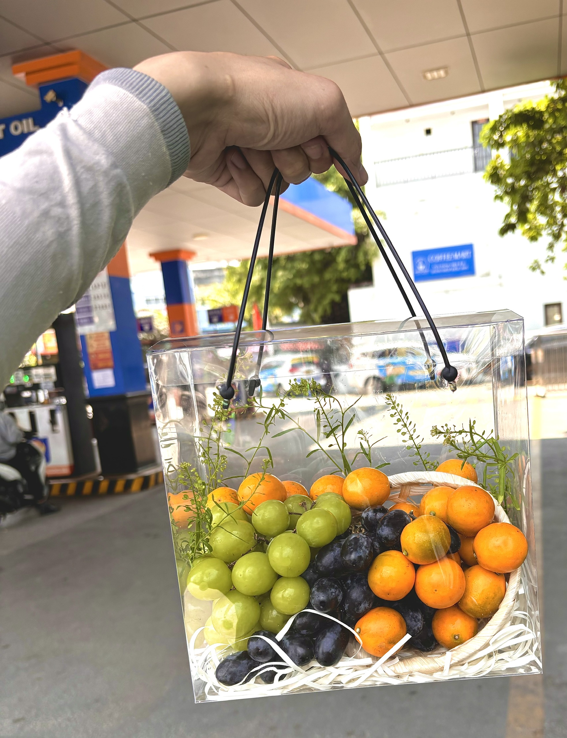 Túi Quả Theo Mùa