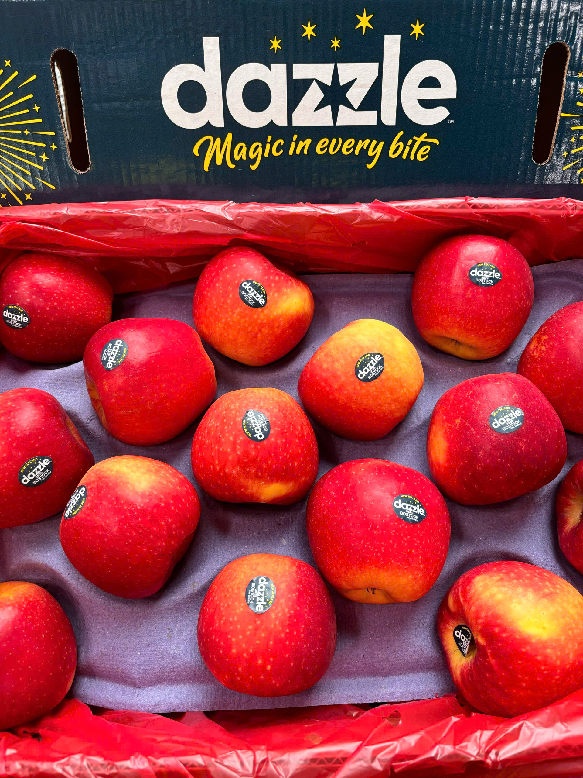 Táo Dazzle New Zealand size LỚN